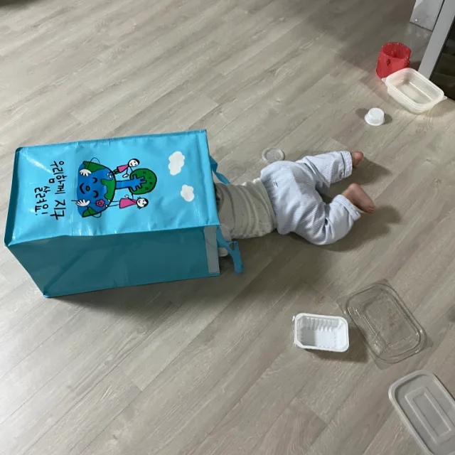 정직한시골쥐