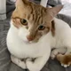 번개맨