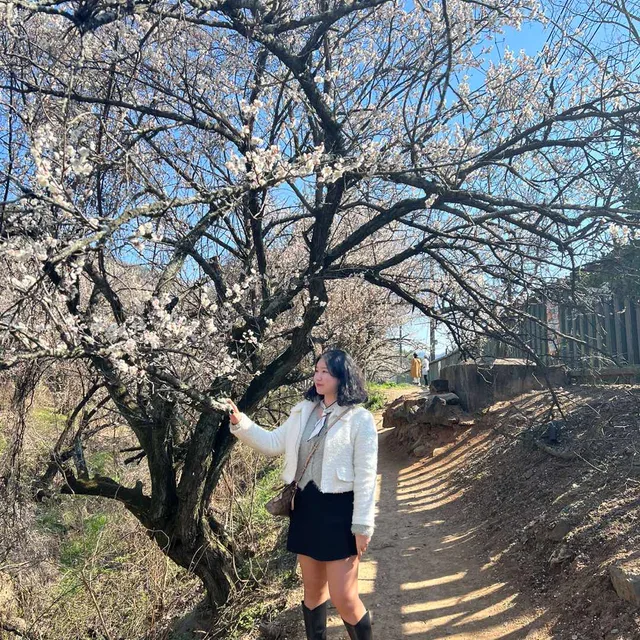 딩동