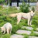 앤서니