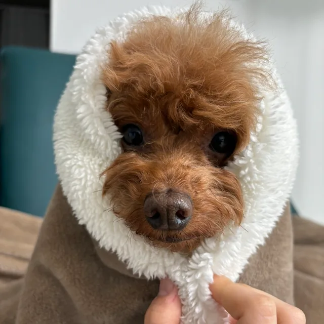 융융