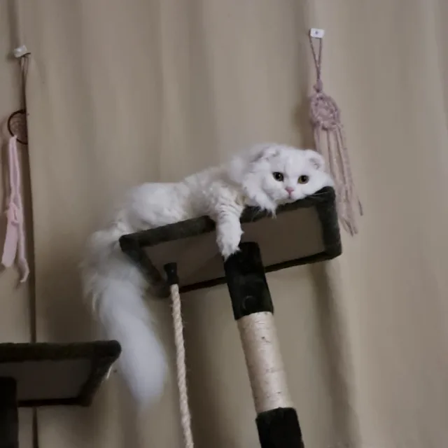 하윤맘