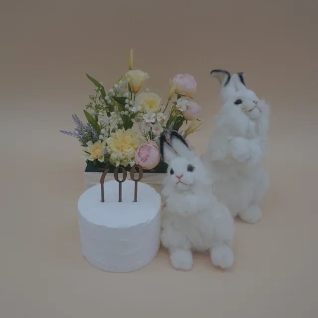 소르