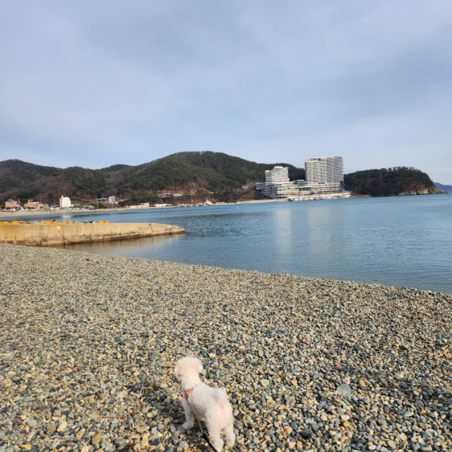 테오도르