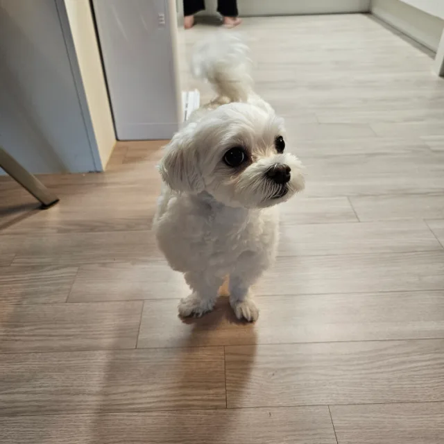 찬솔부부