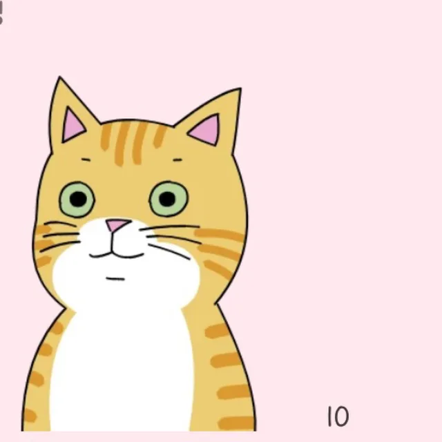 미야옹옹옹