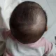 성성딱풀