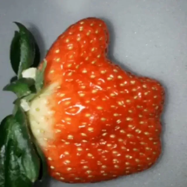 흰구름