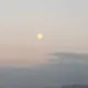 노루