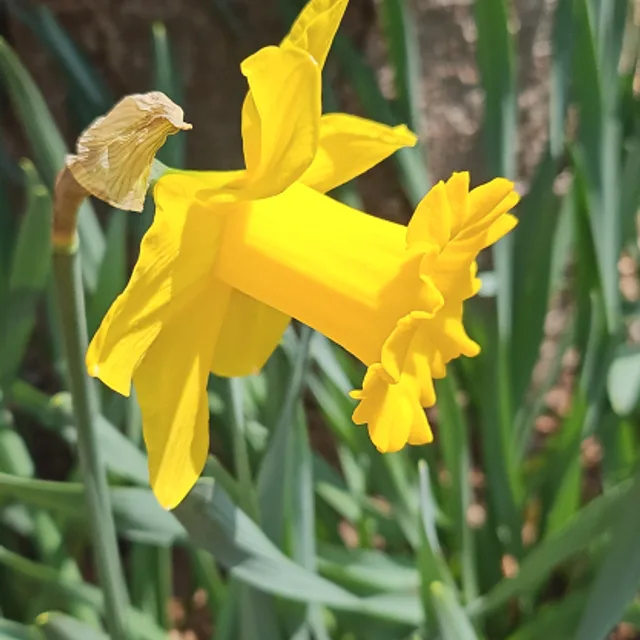 꼼지락
