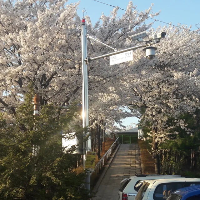 피자쏘딜리셔스