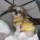 땅콩