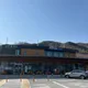 심지