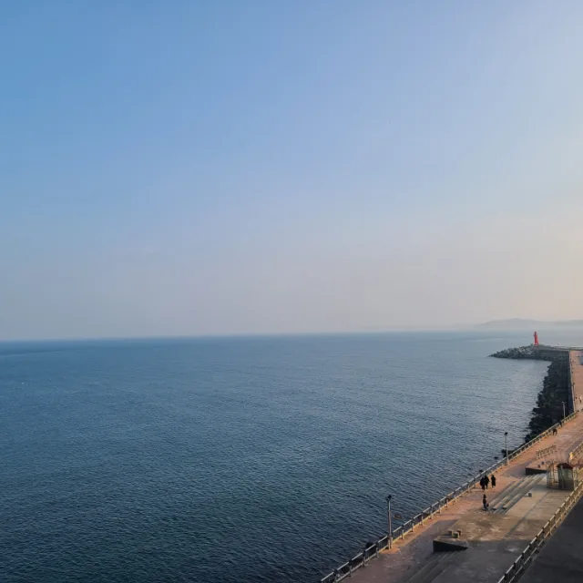 말티