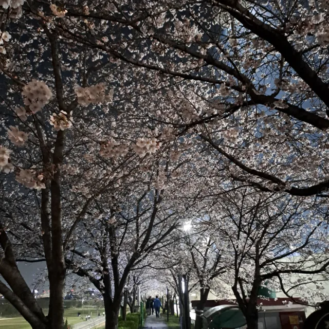 에드워드