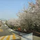 닉네임