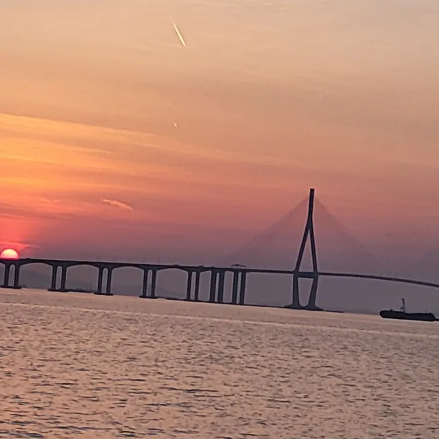 쏭파파