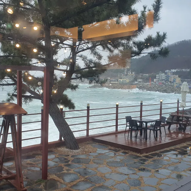 당근프로
