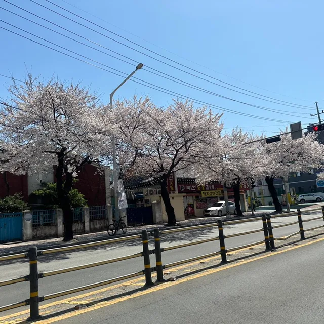 구래팬더