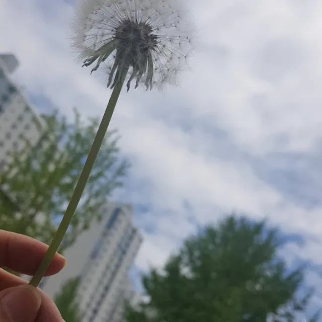 한결같은