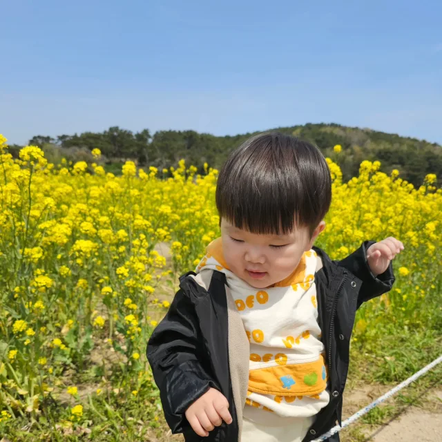 꽃단