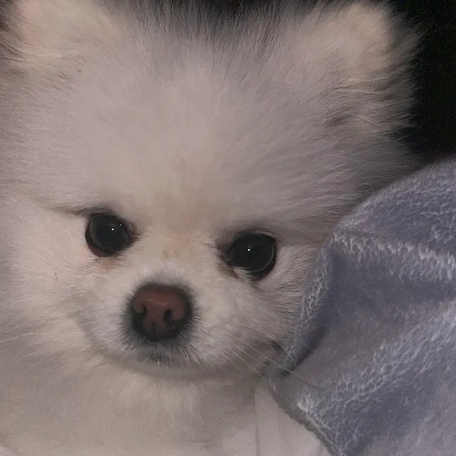집밥정선생