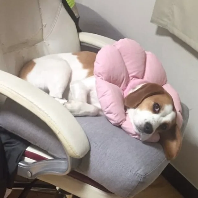 뚱2