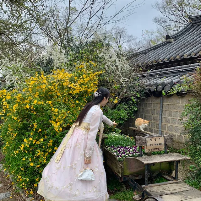 바람쐴겸태어남