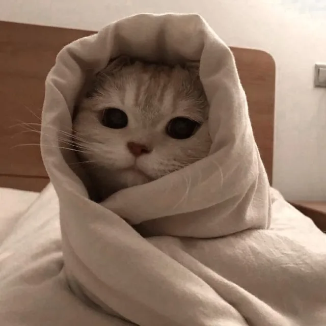 써니