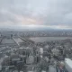 미태