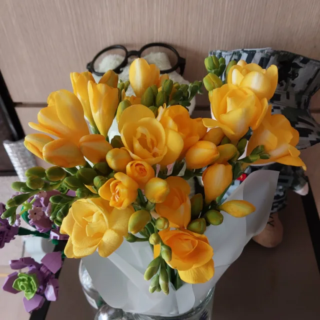 피아노의숲