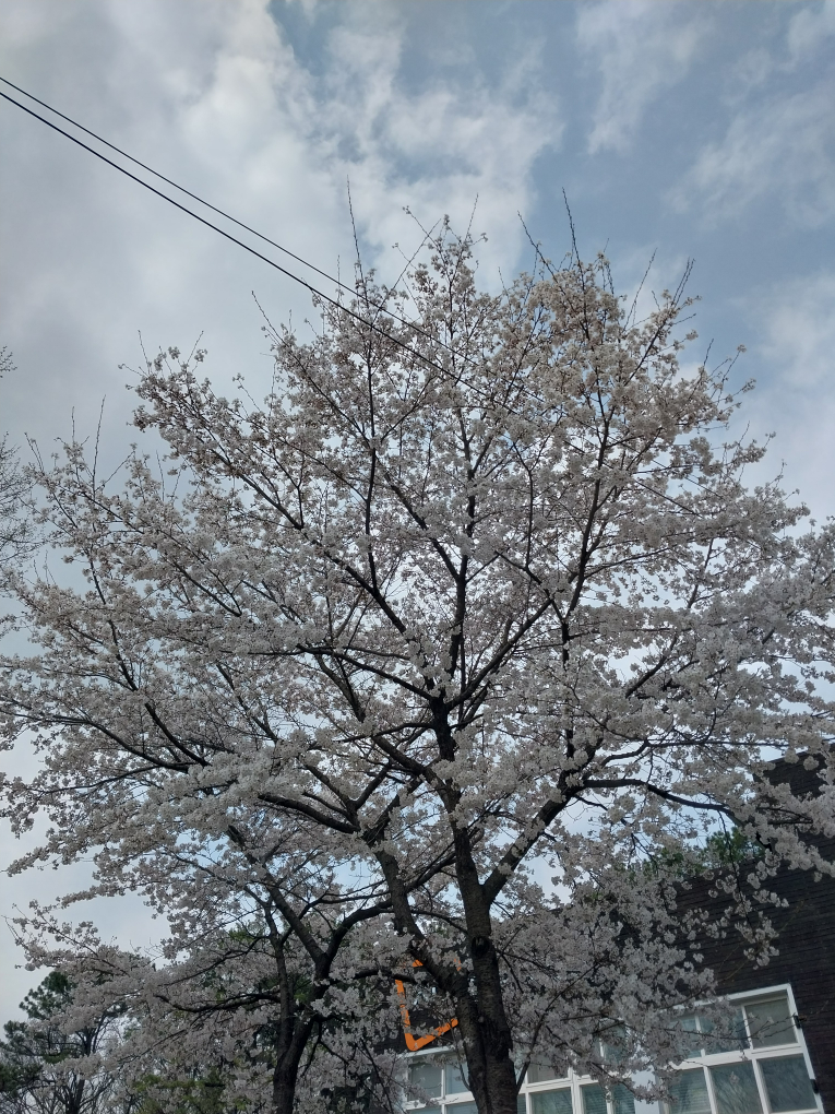Happywinter