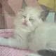 밈이
