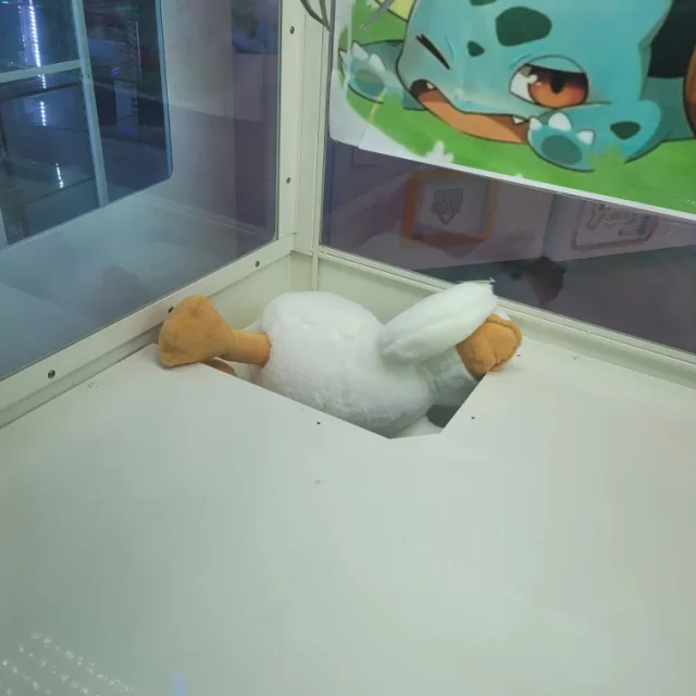 통깨참깨