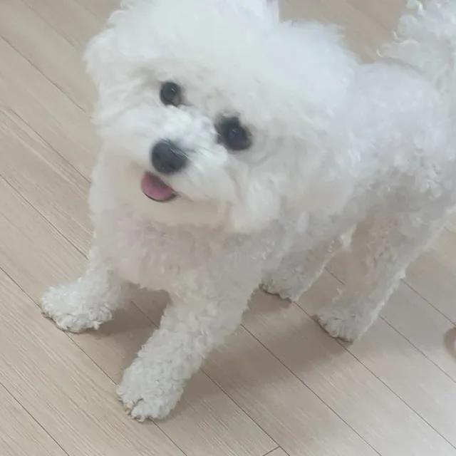 루나