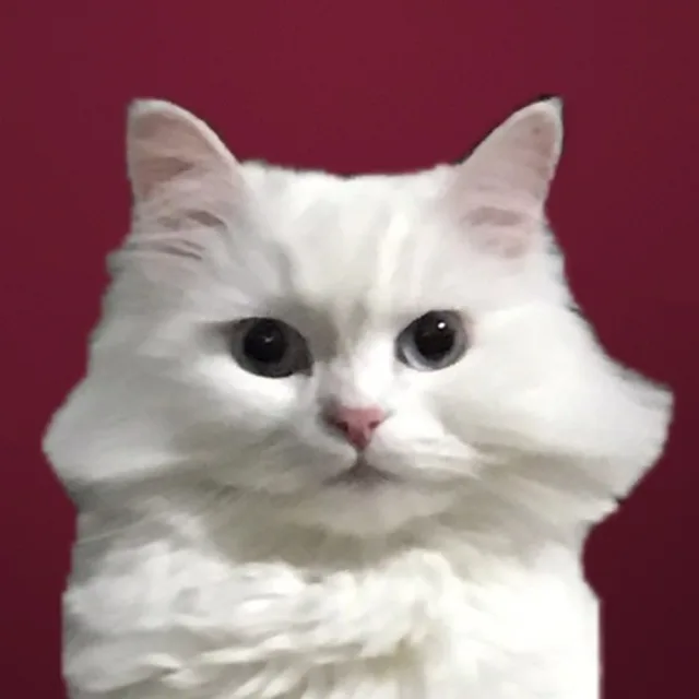 뚜뚜