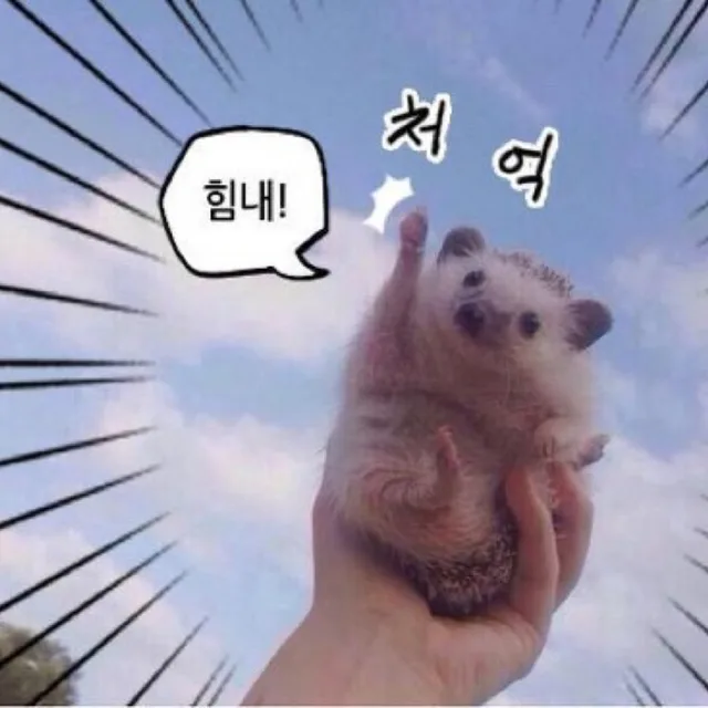 갈릭디핑