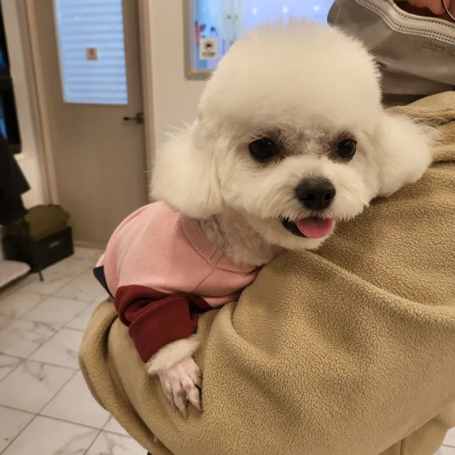 예랑이언니