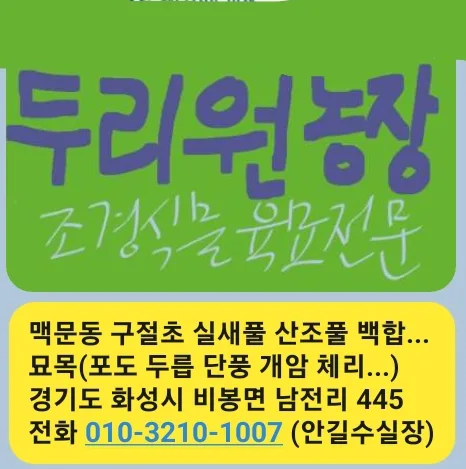안가이버비봉남전리