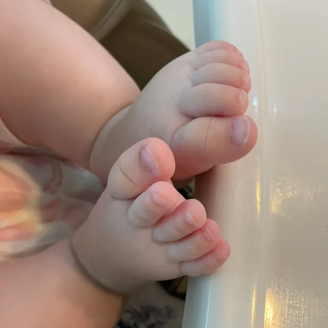 콩콩잉
