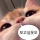 여니