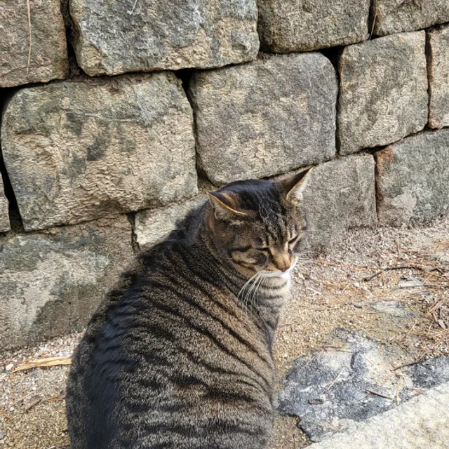 행운방