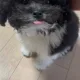 대방아