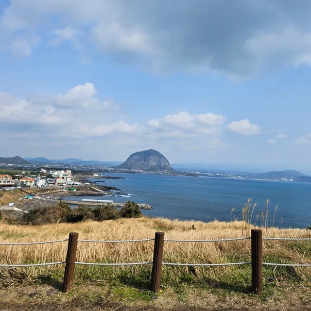 오소