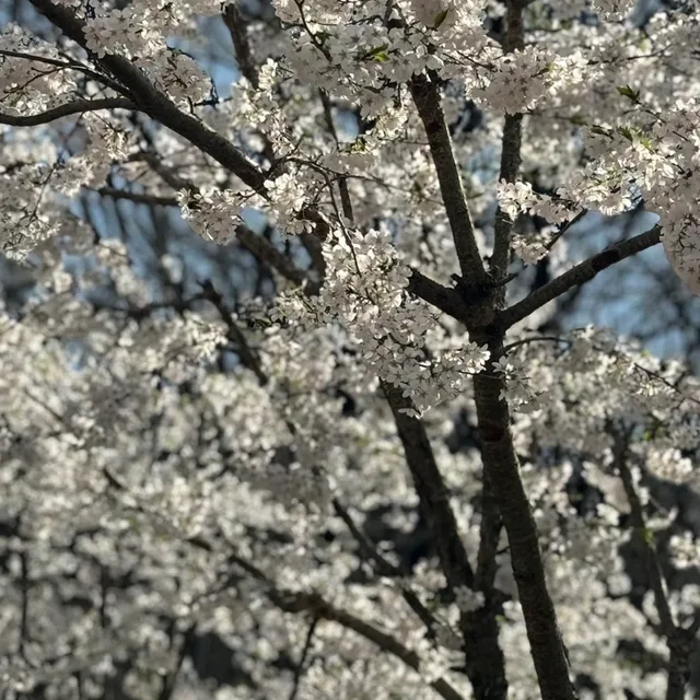 좋은인연