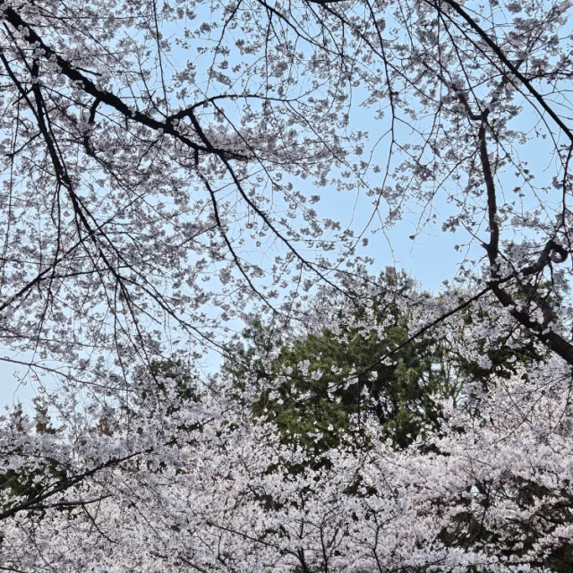 갱구