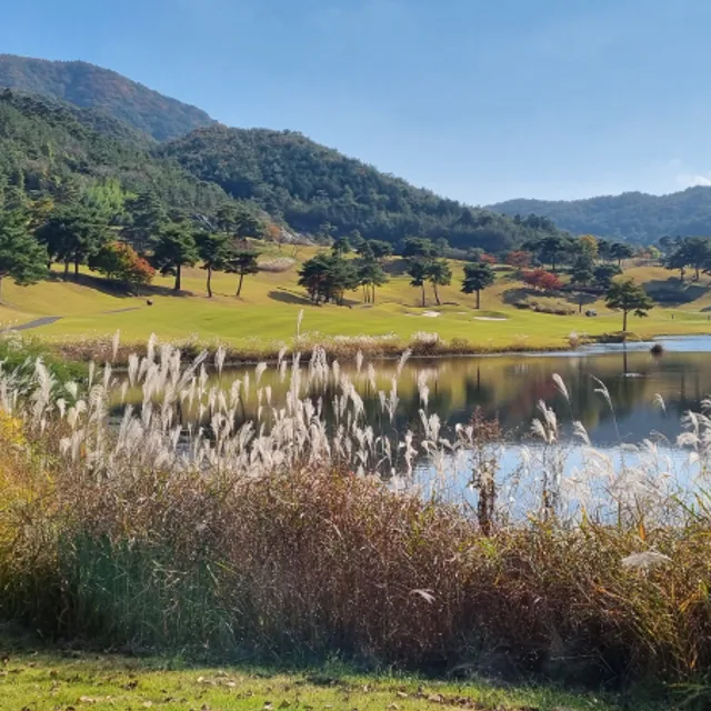 천상천사
