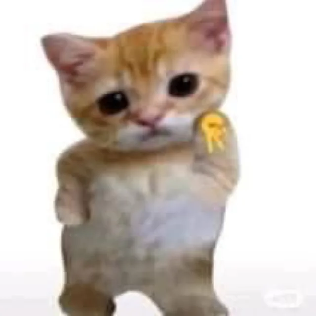 북북북북
