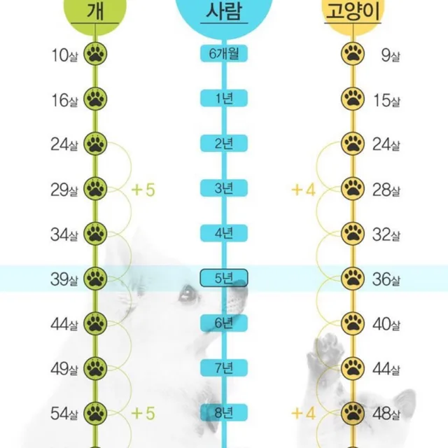 영구