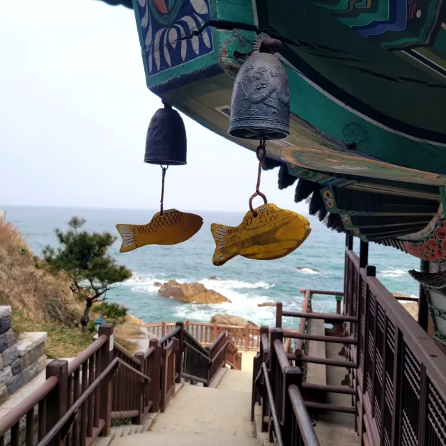 마린보이